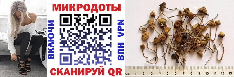 Купить закладки  Губкинский  Галлюциногенные грибы ЛСД 